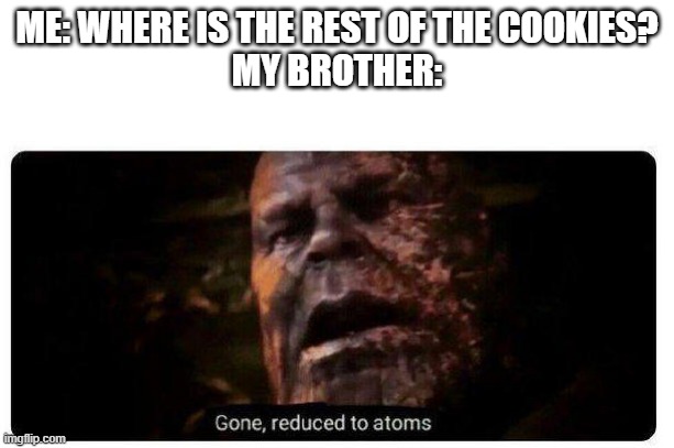 gone... | ME: WHERE IS THE REST OF THE COOKIES?
MY BROTHER: | image tagged in gone reduced to atoms | made w/ Imgflip meme maker