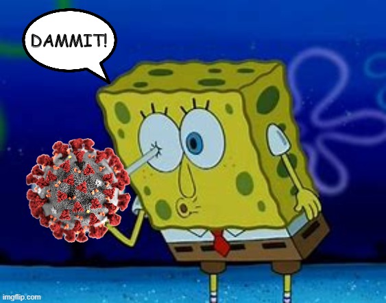 DAMMIT! | made w/ Imgflip meme maker