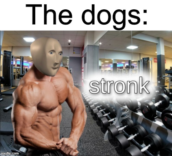 stronks | The dogs: | image tagged in stronks | made w/ Imgflip meme maker