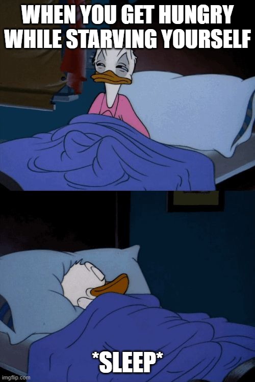 Sleeping Donald Duck | WHEN YOU GET HUNGRY WHILE STARVING YOURSELF; *SLEEP* | image tagged in sleeping donald duck | made w/ Imgflip meme maker