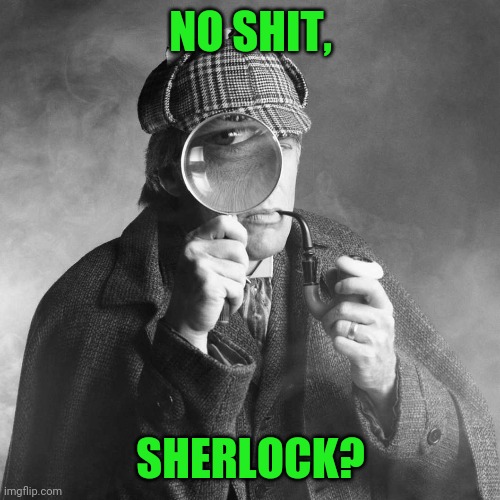 Sherlock Holmes | NO SHIT, SHERLOCK? | image tagged in sherlock holmes | made w/ Imgflip meme maker