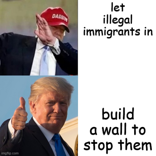 Trump Hotline Bling | let illegal immigrants in build a wall to stop them | image tagged in trump hotline bling | made w/ Imgflip meme maker