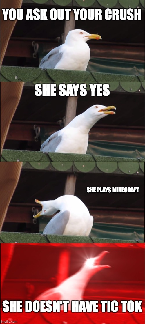 Like this will be vary rare | YOU ASK OUT YOUR CRUSH; SHE SAYS YES; SHE PLAYS MINECRAFT; SHE DOESN'T HAVE TIC TOK | image tagged in memes,inhaling seagull | made w/ Imgflip meme maker