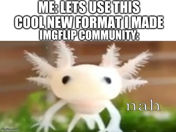 Make this into a format if you like | ME: LETS USE THIS COOL NEW FORMAT I MADE; IMGFLIP COMMUNITY: | image tagged in cute animals | made w/ Imgflip meme maker