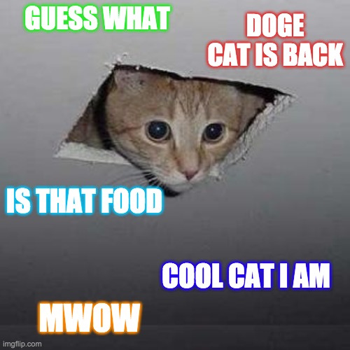 Ceiling Cat Meme | DOGE CAT IS BACK; GUESS WHAT; IS THAT FOOD; COOL CAT I AM; MWOW | image tagged in memes,ceiling cat | made w/ Imgflip meme maker