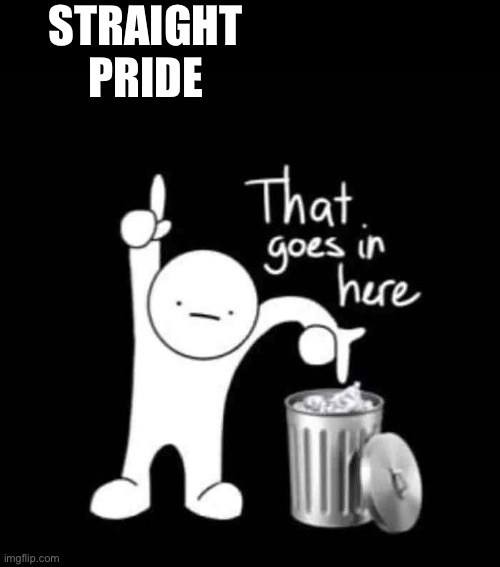 that goes in here | STRAIGHT
PRIDE | image tagged in that goes in here | made w/ Imgflip meme maker