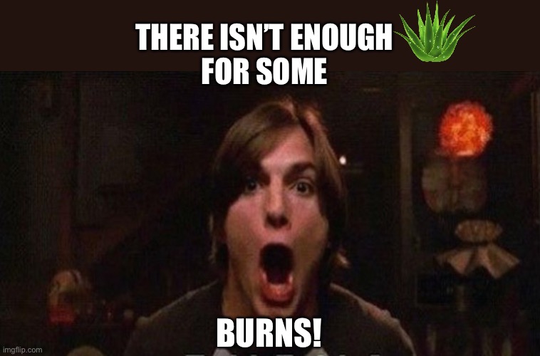 THERE ISN’T ENOUGH 
FOR SOME BURNS! | made w/ Imgflip meme maker