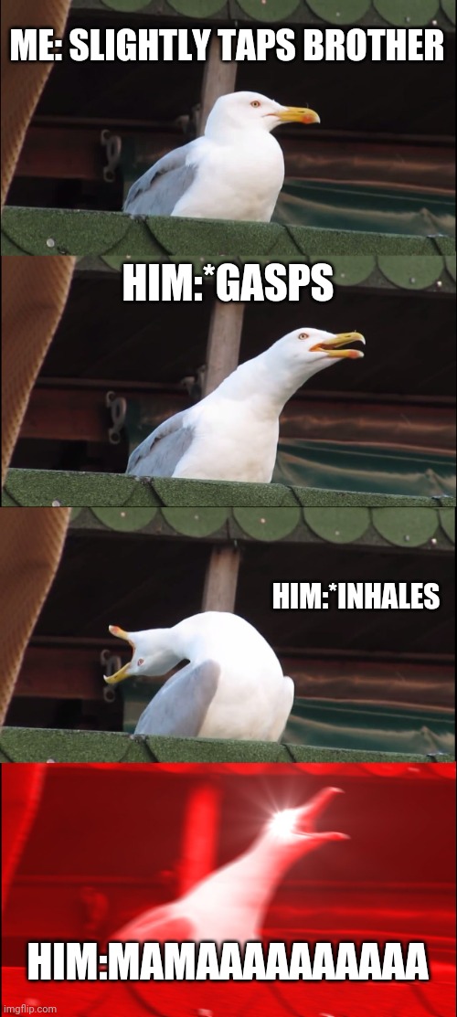 Inhaling Seagull | ME: SLIGHTLY TAPS BROTHER; HIM:*GASPS; HIM:*INHALES; HIM:MAMAAAAAAAAAA | image tagged in memes,inhaling seagull | made w/ Imgflip meme maker