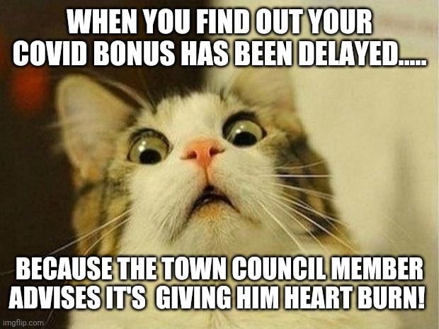 Scared Cat Meme | WHEN YOU FIND OUT YOUR COVID BONUS HAS BEEN DELAYED..... BECAUSE THE TOWN COUNCIL MEMBER ADVISES IT'S  GIVING HIM HEART BURN! | image tagged in memes,scared cat | made w/ Imgflip meme maker