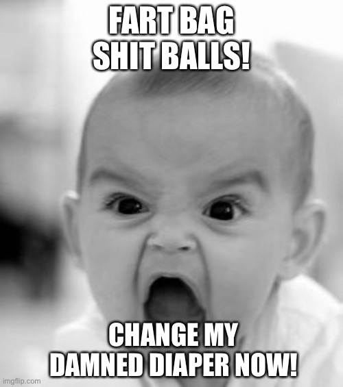 A shitty childish meme | FART BAG SHIT BALLS! CHANGE MY DAMNED DIAPER NOW! | image tagged in memes,angry baby,screaming,shit,fart,toilet humor | made w/ Imgflip meme maker