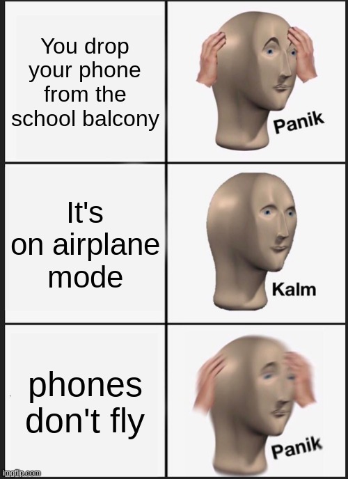 not smort | You drop your phone from the school balcony; It's on airplane mode; phones don't fly | image tagged in memes,panik kalm panik,phone | made w/ Imgflip meme maker