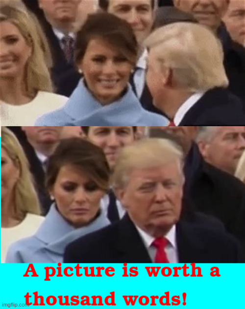Melania a picture worth 1000 words | image tagged in melania trump | made w/ Imgflip meme maker