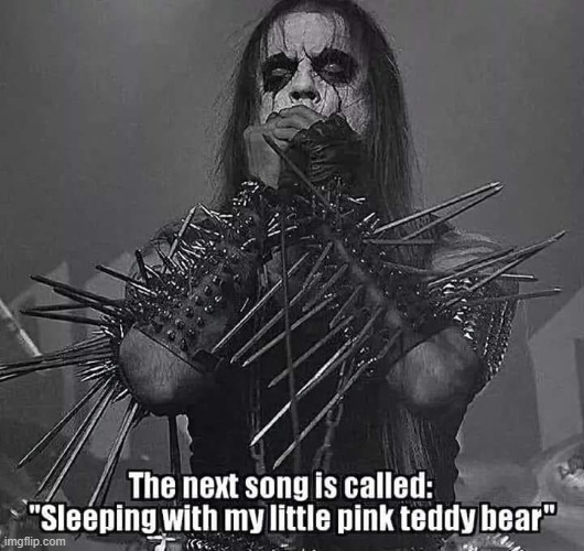 Metal Meme | image tagged in metal meme,heavy metal meme | made w/ Imgflip meme maker