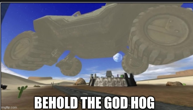 BEHOLD THE GOD HOG | image tagged in god hog,halo,halo mod | made w/ Imgflip meme maker
