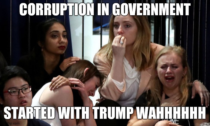 Stupid Libtards | CORRUPTION IN GOVERNMENT STARTED WITH TRUMP WAHHHHHH | image tagged in stupid libtards | made w/ Imgflip meme maker