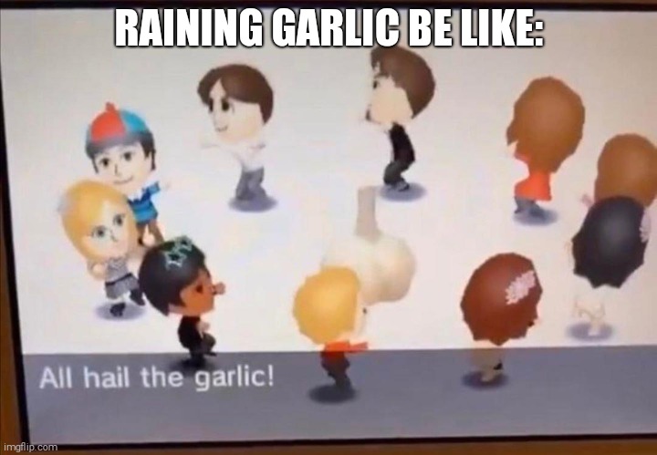 ALL HAIL THE GARLIC | RAINING GARLIC BE LIKE: | image tagged in all hail the garlic,garlic,stupidity | made w/ Imgflip meme maker
