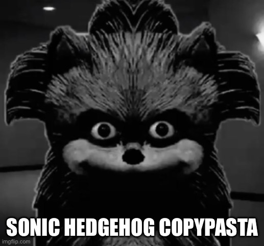 Sonc | SONIC HEDGEHOG COPYPASTA | image tagged in sonc | made w/ Imgflip meme maker