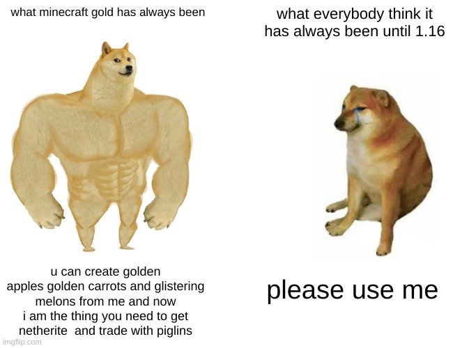 Buff Doge vs. Cheems | what minecraft gold has always been; what everybody think it has always been until 1.16; u can create golden apples golden carrots and glistering melons from me and now i am the thing you need to get netherite  and trade with piglins; please use me | image tagged in memes,buff doge vs cheems | made w/ Imgflip meme maker