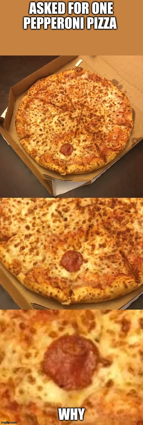 a single pepperoni | image tagged in memes | made w/ Imgflip meme maker