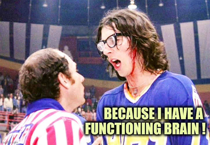 Hansons | BECAUSE I HAVE A 
FUNCTIONING BRAIN ! | image tagged in hansons | made w/ Imgflip meme maker