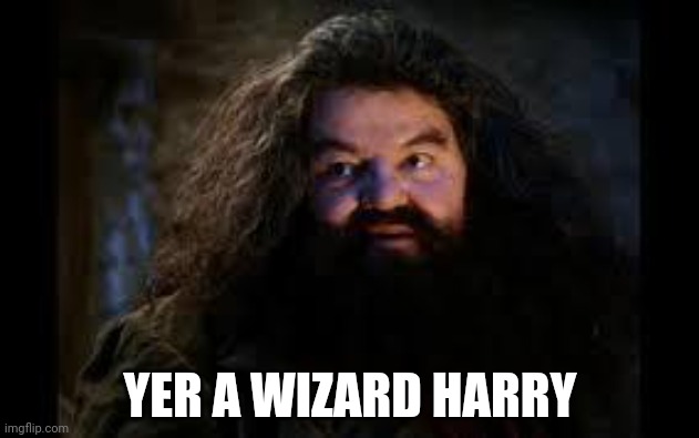 hagrid yer a wizard | YER A WIZARD HARRY | image tagged in hagrid yer a wizard | made w/ Imgflip meme maker