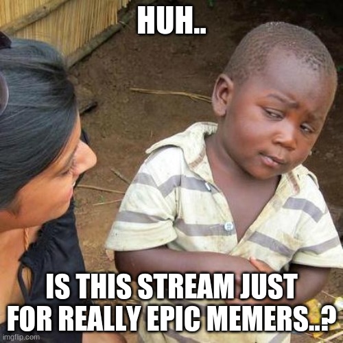 Third World Skeptical Kid |  HUH.. IS THIS STREAM JUST FOR REALLY EPIC MEMERS..? | image tagged in memes,third world skeptical kid | made w/ Imgflip meme maker