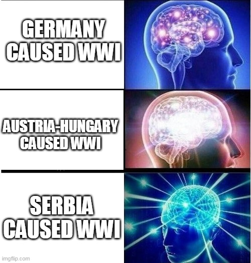 who caused WWI? | GERMANY CAUSED WWI; AUSTRIA-HUNGARY CAUSED WWI; SERBIA CAUSED WWI | image tagged in expanding brain 3 panels | made w/ Imgflip meme maker
