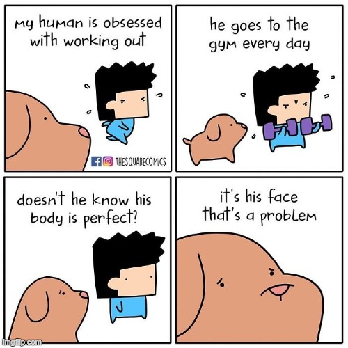 he has no mouth (but its probably a different meaning) | image tagged in comics,funny,dog,that face | made w/ Imgflip meme maker