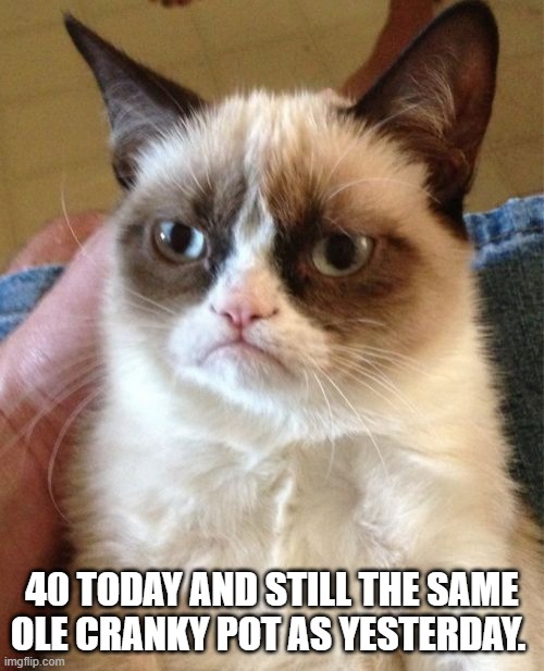 Grumpy Cat | 40 TODAY AND STILL THE SAME OLE CRANKY POT AS YESTERDAY. | image tagged in memes,grumpy cat | made w/ Imgflip meme maker