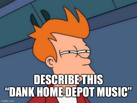 Futurama Fry Meme | DESCRIBE THIS “DANK HOME DEPOT MUSIC” | image tagged in memes,futurama fry | made w/ Imgflip meme maker