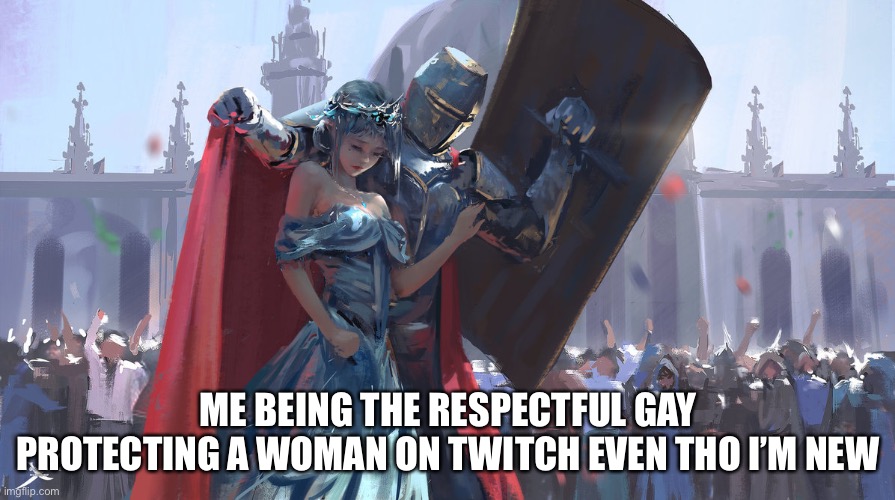Protecc |  ME BEING THE RESPECTFUL GAY PROTECTING A WOMAN ON TWITCH EVEN THO I’M NEW | image tagged in knight protecting princess | made w/ Imgflip meme maker