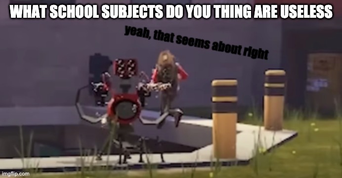 seems about right | WHAT SCHOOL SUBJECTS DO YOU THING ARE USELESS | image tagged in seems about right | made w/ Imgflip meme maker