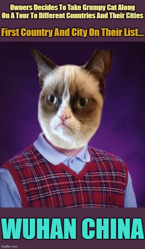 Talk About "Double Whammy" | Owners Decides To Take Grumpy Cat Along On A Tour To Different Countries And Their Cities; First Country And City On Their List... WUHAN CHINA | image tagged in bad luck grumpy cat,memes,wuhan,coronavirus,travel ban,traveling | made w/ Imgflip meme maker