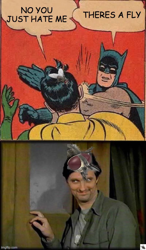 hehehe | NO YOU JUST HATE ME; THERES A FLY | image tagged in memes,batman slapping robin,captain pierce cheeky | made w/ Imgflip meme maker