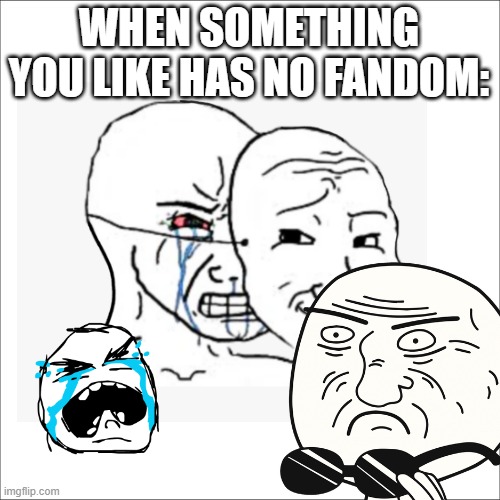 *cries* | WHEN SOMETHING YOU LIKE HAS NO FANDOM: | image tagged in sad,memes | made w/ Imgflip meme maker