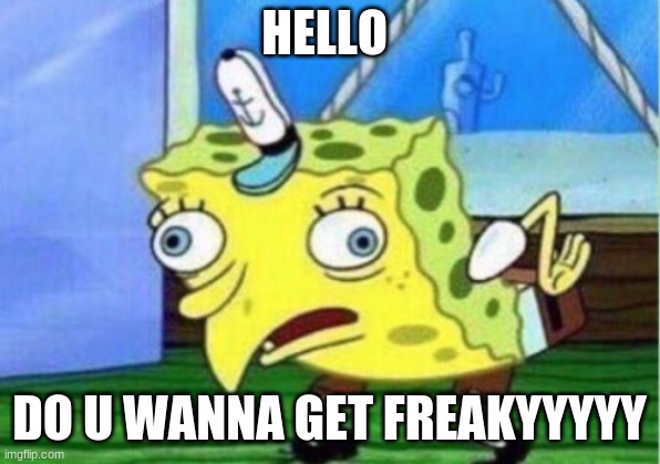 Mocking Spongebob | HELLO; DO U WANNA GET FREAKYYYYY | image tagged in memes,mocking spongebob | made w/ Imgflip meme maker