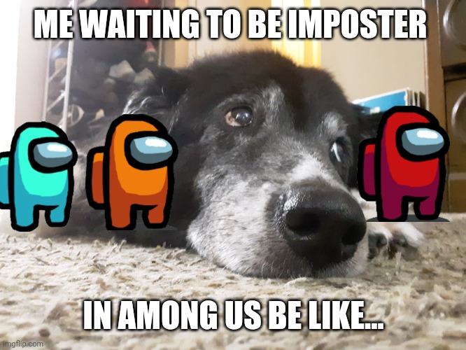 Still Waiting | ME WAITING TO BE IMPOSTER; IN AMONG US BE LIKE... | image tagged in among us,imposter,memes,waiting,still waiting,dog | made w/ Imgflip meme maker