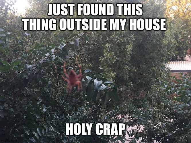 JUST FOUND THIS THING OUTSIDE MY HOUSE; HOLY CRAP | made w/ Imgflip meme maker