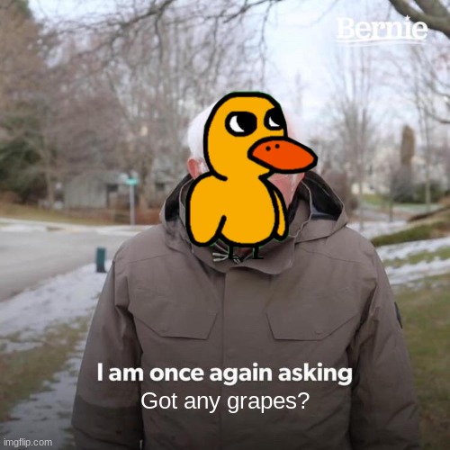 The duck song | Got any grapes? | image tagged in memes,bernie i am once again asking for your support,duck | made w/ Imgflip meme maker
