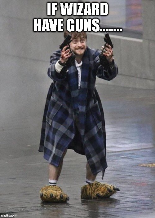 Harry Potter Guns | IF WIZARD HAVE GUNS........ | image tagged in harry potter guns | made w/ Imgflip meme maker