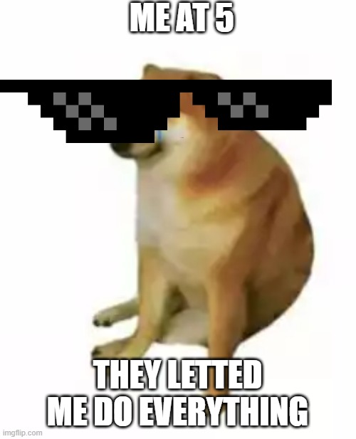 Weak doge alone | ME AT 5 THEY LETTED ME DO EVERYTHING | image tagged in weak doge alone | made w/ Imgflip meme maker