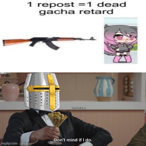 well brothers will you repost? | image tagged in crusader | made w/ Imgflip meme maker