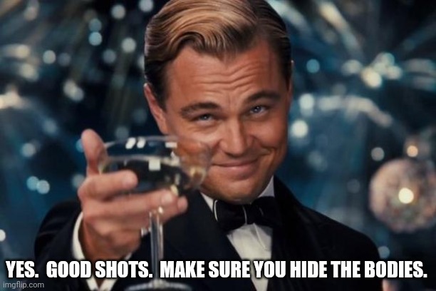 Leonardo Dicaprio Cheers Meme | YES.  GOOD SHOTS.  MAKE SURE YOU HIDE THE BODIES. | image tagged in memes,leonardo dicaprio cheers | made w/ Imgflip meme maker