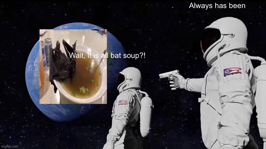 Bat soup is E V E R Y  T H I N G | Wait, it is all bat soup?! Always has been | image tagged in memes,always has been | made w/ Imgflip meme maker