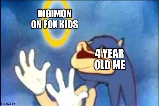 Digimon on Fox kids:The best Anime-related tv thing ever! | DIGIMON ON FOX KIDS; 4 YEAR OLD ME | image tagged in sonic derp | made w/ Imgflip meme maker