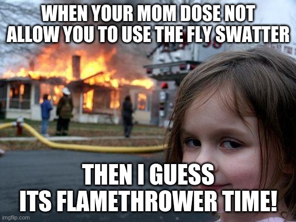 Disaster Girl | WHEN YOUR MOM DOSE NOT ALLOW YOU TO USE THE FLY SWATTER; THEN I GUESS ITS FLAMETHROWER TIME! | image tagged in memes,disaster girl | made w/ Imgflip meme maker