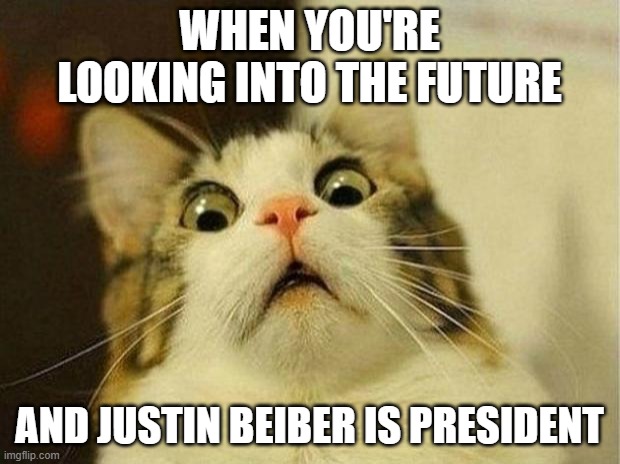 Scared Cat Meme | WHEN YOU'RE LOOKING INTO THE FUTURE; AND JUSTIN BEIBER IS PRESIDENT | image tagged in memes,scared cat | made w/ Imgflip meme maker