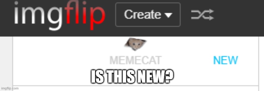 Sorry, it is supposed to be MemeChat. | IS THIS NEW? | image tagged in imgflip,meme,help,im confused | made w/ Imgflip meme maker