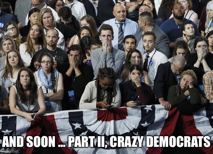 AND SOON ... PART II, CRAZY DEMOCRATS | made w/ Imgflip meme maker