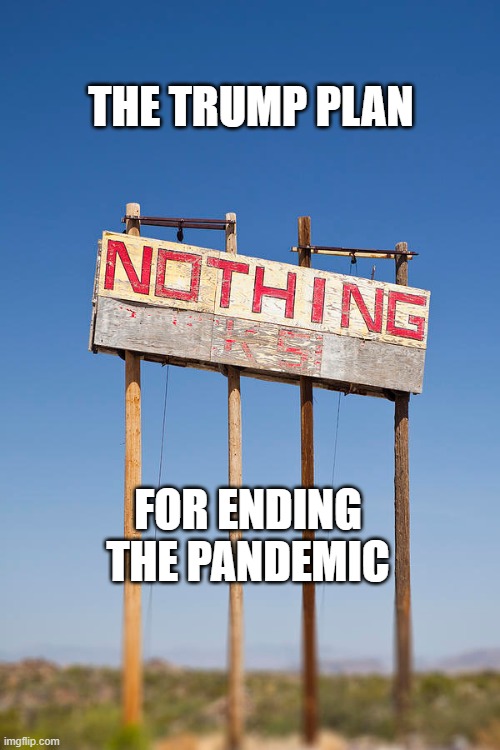 THE TRUMP PLAN; FOR ENDING THE PANDEMIC | image tagged in trump,pandemic | made w/ Imgflip meme maker